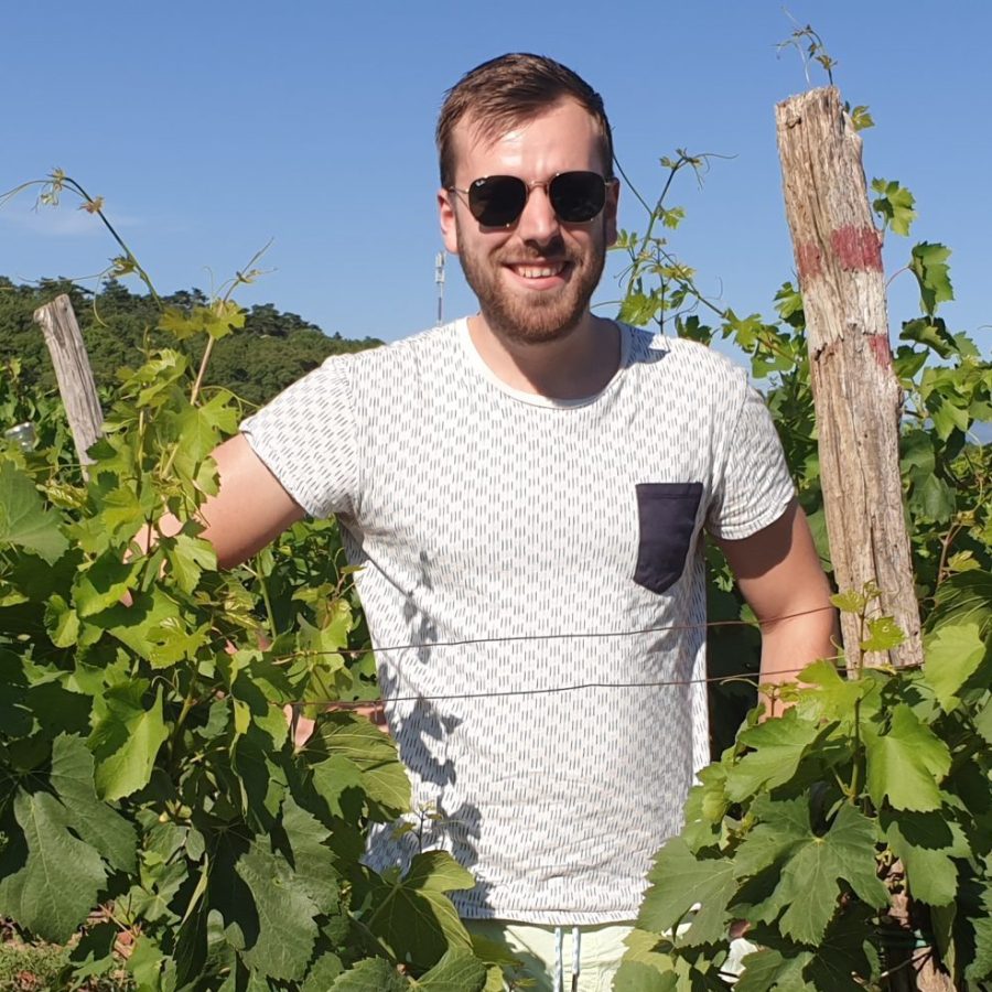 Foto Daan Gort Een foto van Daan Gort in de wijngaarden in Kroatië